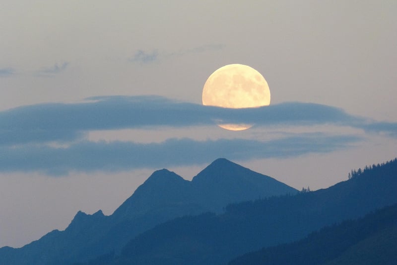 Moonlight Garden